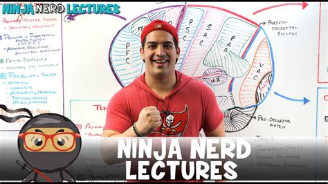 99 Ninja Nerd Snapback Snapback 27. . Ninja nerd